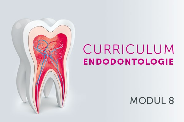 Dentale Traumatologie