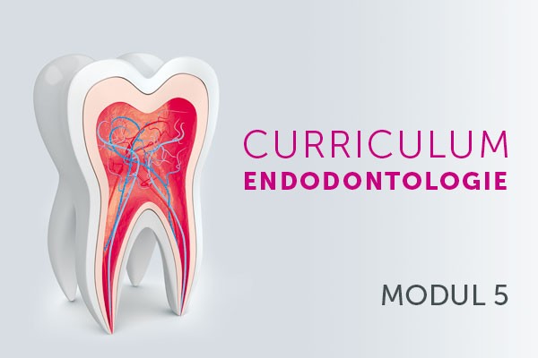 Desinfektion, Milchzahn-Endodontie und internes Bleichen