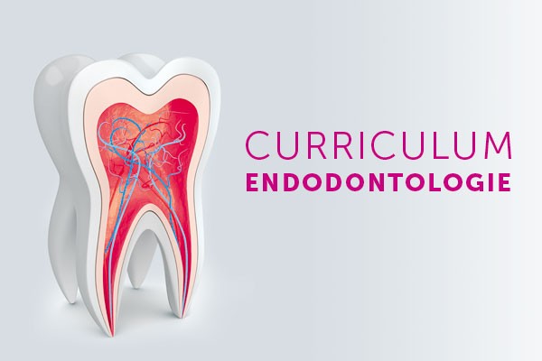 Curriculum Endodontie